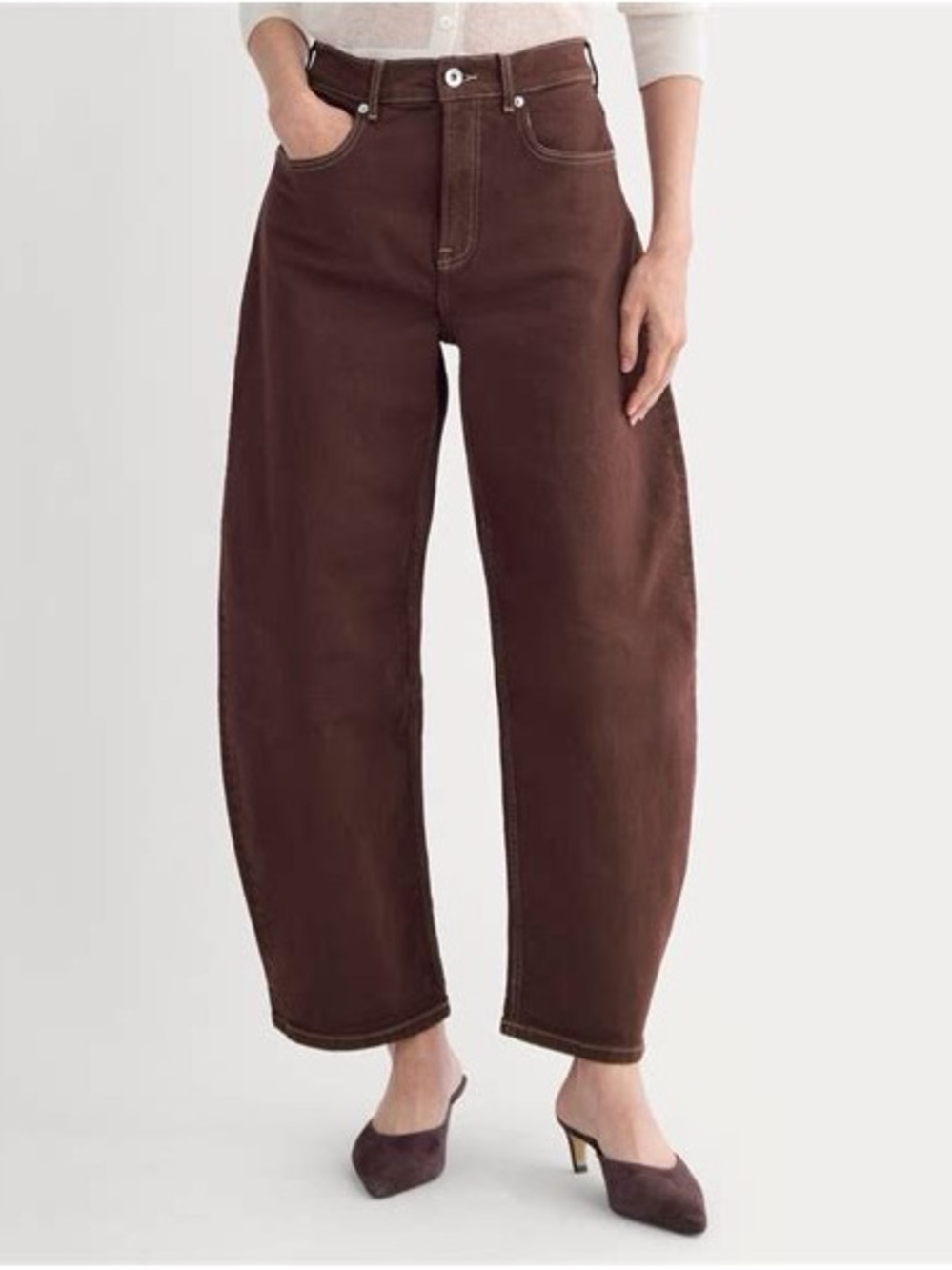 Everlane The Way-High® Curve Jean 29R Chocolate Barrel Leg Organic Cotton